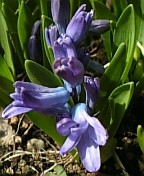08-03 037.jpg