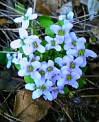08-03 040.jpg