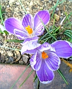 08-03 042.jpg