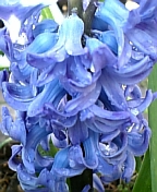 08-03 066.jpg