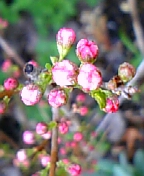 08-03 075.jpg