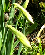 08-03 078.jpg