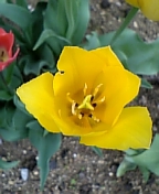 08-04 065.jpg
