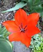 08-04 066.jpg