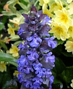 08-04 085.jpg