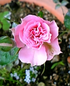 08-05 019.jpg