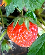 08-05 020.jpg