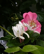 08-05 052.jpg
