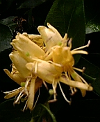 08-05 053.jpg
