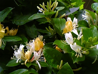 08-05 054.jpg