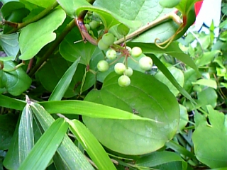 08-05 066.jpg