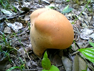 08-06 022.jpg