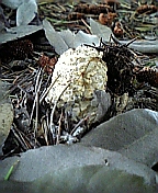 08-06 026.jpg