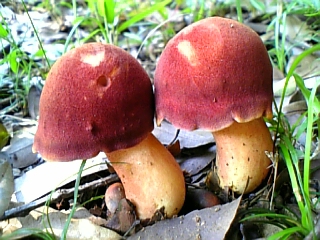 08-07 022.jpg