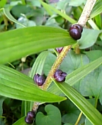 08-07 028.jpg