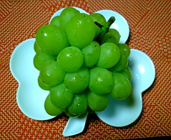 08-09 001.jpg