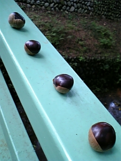 08-09 034.jpg