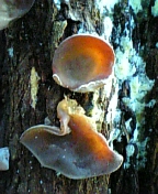 08-10 007.jpg