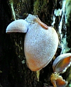 08-10 008.jpg