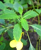 08-10 034.jpg