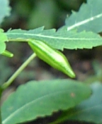 08-10 035.jpg