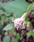 08-10 040.jpg