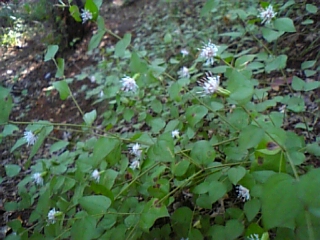 08-10 094.jpg