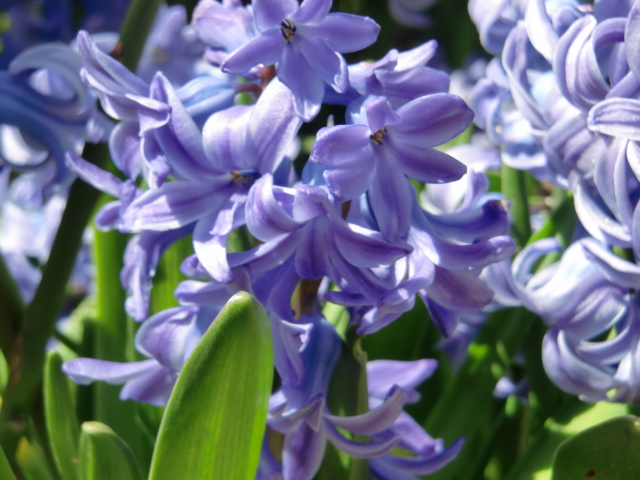 11-04 041.jpg