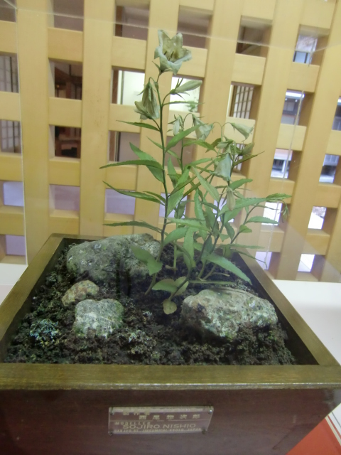 11-04 167.jpg