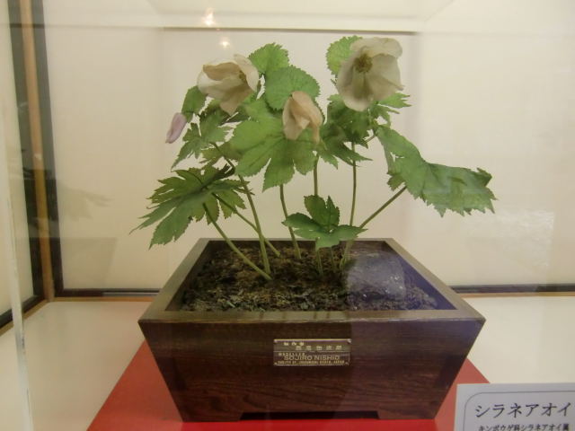 11-04 168.jpg