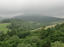 11-08 076.jpg