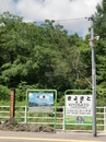 11-08 147.jpg