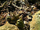 ? 1647.jpg