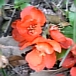 画像 004.jpg