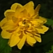 画像 011.jpg