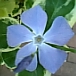 画像 042.jpg