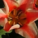 画像 045.jpg