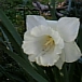 画像 046.jpg