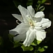 画像 050.jpg