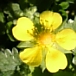 画像 053.jpg