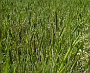 画像 061.jpg