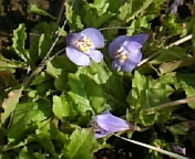 画像 065.jpg