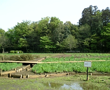 画像 067.jpg