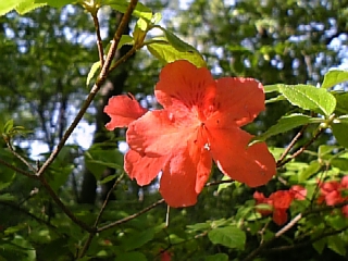画像 118.jpg