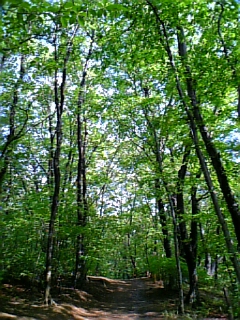 画像 120.jpg