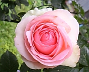 画像 334.jpg