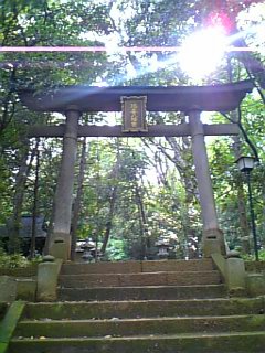画像 415.jpg