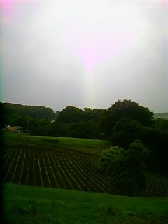 画像 423.jpg