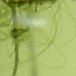 画像 487.jpg