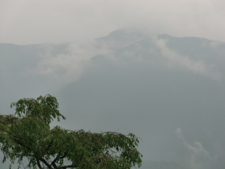 CIMG7018 (440x330).jpg
